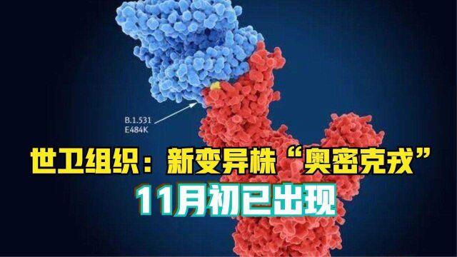 世卫组织:新变异株“奥密克戎”11月初已出现