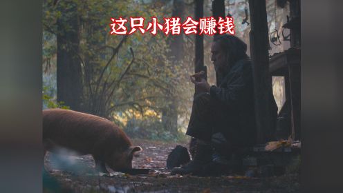 《疾速猪杀》：尼古拉斯凯奇最新惊悚电影，一切只为救一只猪#电影解说 #尼古拉斯凯奇