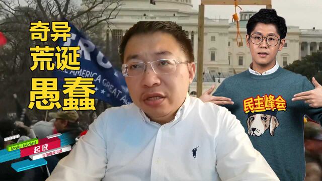 美国怎么敢组织民主峰会?沈逸 :奇异、荒诞、愚蠢!