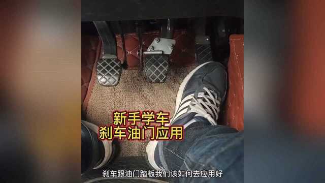 新手学车注意事项!学会了这一招你也可以轻松考驾照,快速拿证!