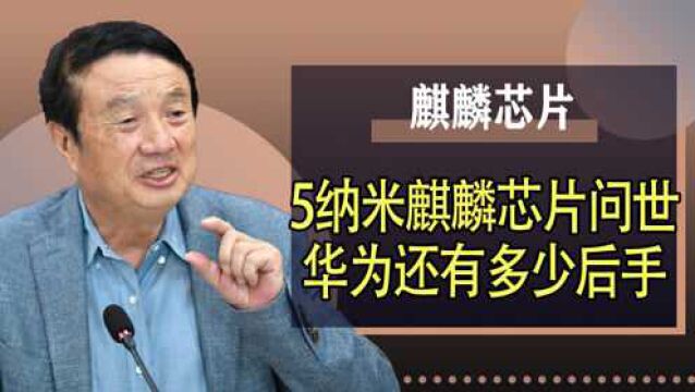 5纳米芯片再次登场,谁在背后支持华为?任正非的后手远不止这些