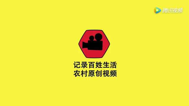 农村老家的高粱杆,手工制作,把小时候的小伙伴羡慕死了