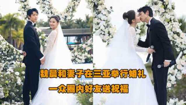 魏晨和妻子于玮在三亚举行婚礼,一众圈内好友送祝福