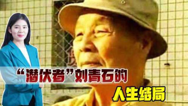 余则成原型之一,在台湾大山里藏了4年,重返大陆后结局如何?