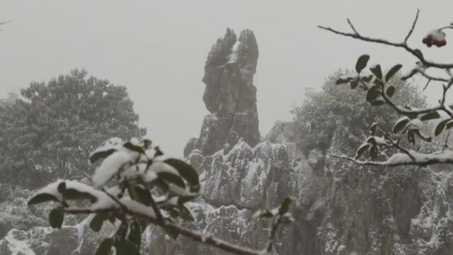 (电视通稿ⷥ›𝥆…ⷧ侤𜚩四川华蓥:简易滑雪乐趣多