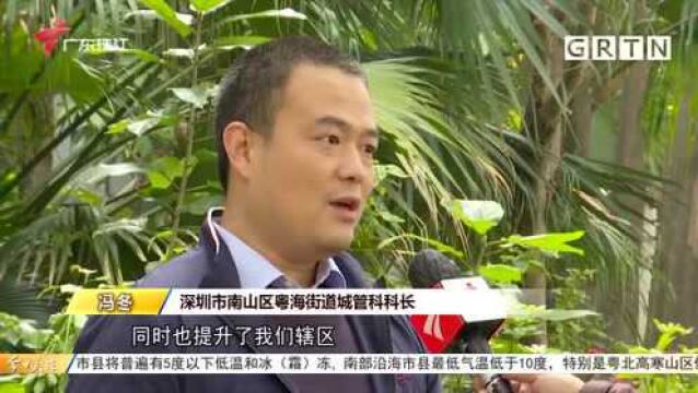 深圳南山:两个“共建花园”开园 社区内可感受种植乐趣