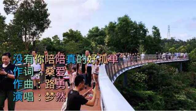 广东珠海市香山湖栈道游人如织配一曲《没有你陪伴真的好孤单》