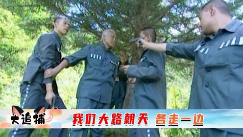 追捕07：百名罪犯越狱成功，不料路上争执不断，最终被武警冲散