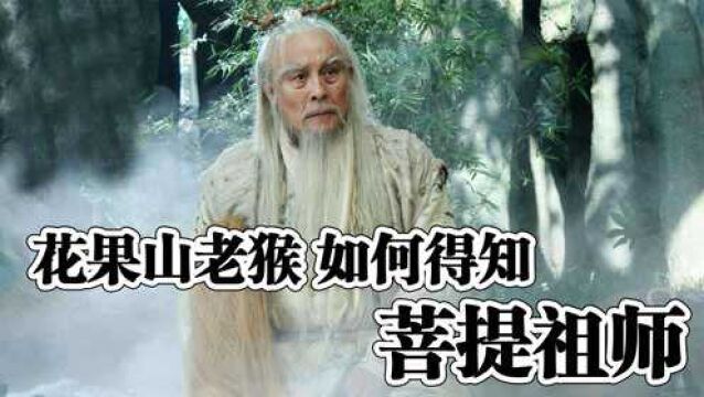 三界都不知道菩提祖师的来历,花果山这只老猴为什么什么都知道?