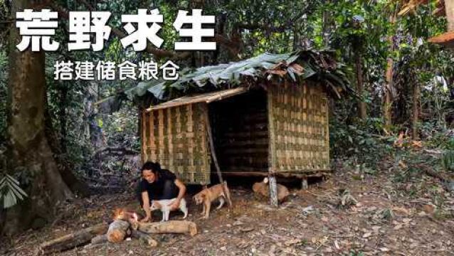 荒野生存,防止食物腐败变质搭建粮仓,确保养殖所需的食物完好