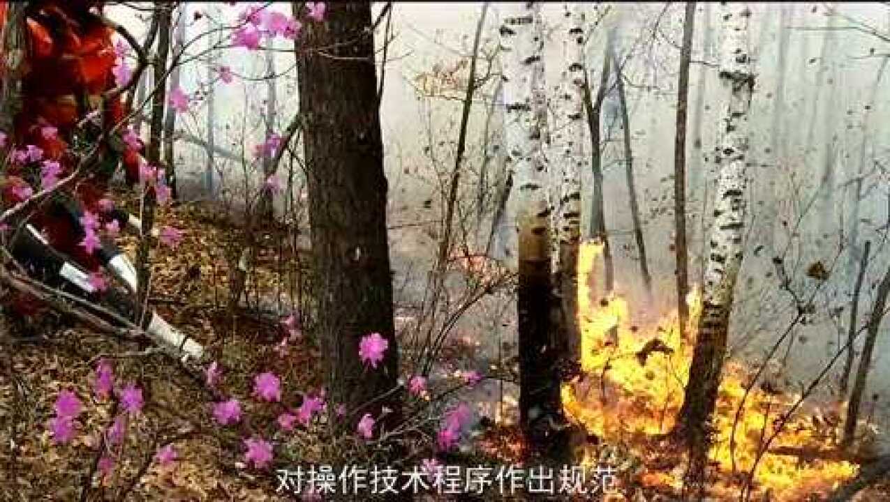 请收藏！《防患未“燃”》10集森林防火科普系列片 腾讯视频