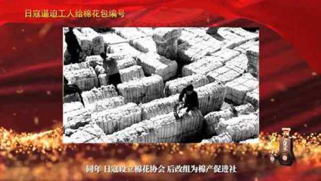 邯郸档案 | 第四十八期:鲜血染红的棉花——日寇刺刀下的邯郸殖民地经济