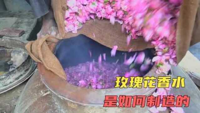 玫瑰花是如何制作成香水的