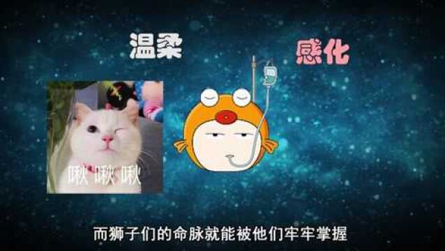 狮子座的3大克星,命脉被掌握,怎么斗也斗不过!