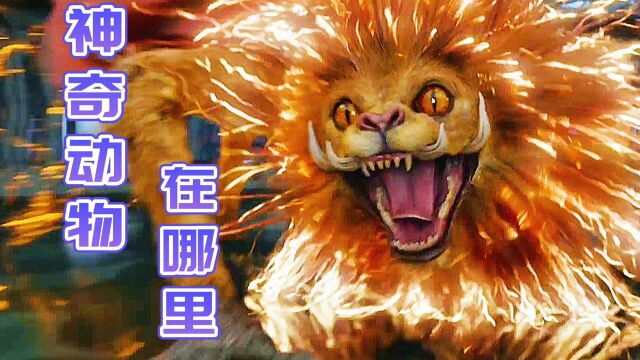 中国神兽霸气登场,携手魔法界与黑巫师展开奇幻对决《神奇动物》