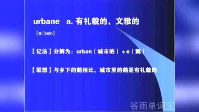 中学英语必考核心重点单词视频讲解大全c开头的单词