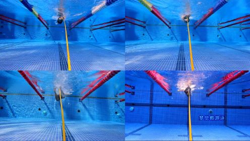 【游泳示范】自由泳2、4、6次腿的多视角展示与对比｜梦觉教游泳