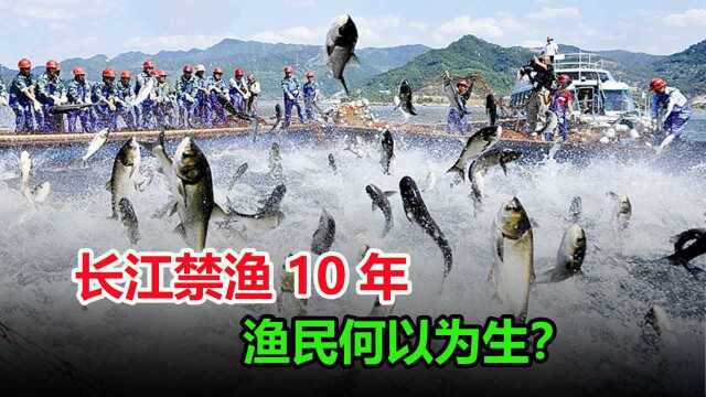 长江10年禁渔期间,渔民们如何生存?这个计划真能造福百姓吗?