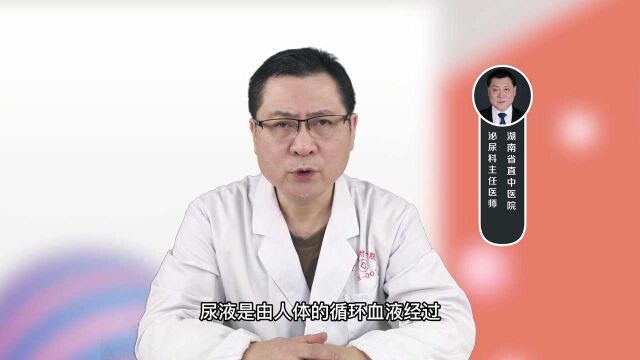 尿尿有味道怎么回事?一般常见于慢性膀胱炎