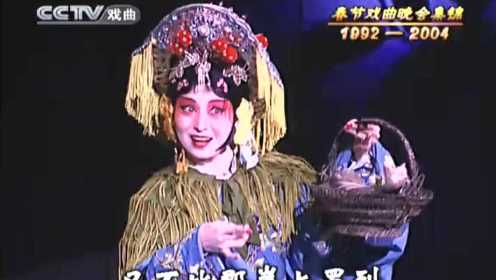 春节戏曲晚会集锦(1992-2004)(第2集)