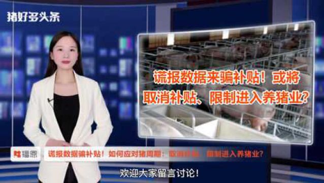 谎报数据“骗补贴”?如何应对猪周期:取消补贴、限制进入养猪业