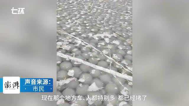 吉林白城现“汤圆湖”奇观