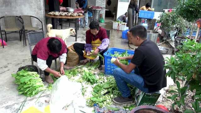 江门盆协培育基地挂牌(鹤山龙口)