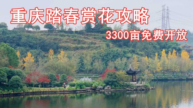 重庆主城最大的公园,开放10年后终于免费了,轨道交通3号线直达