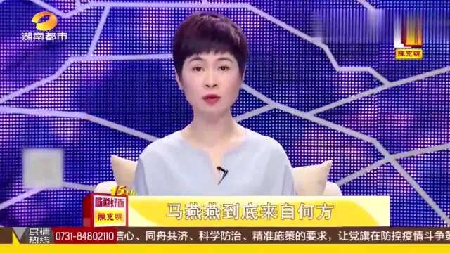 寻情:花甲老人与小自己30岁的女子生下女儿,生活十年却不知来历