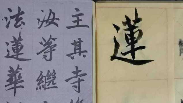 毛笔字天天练习莲字