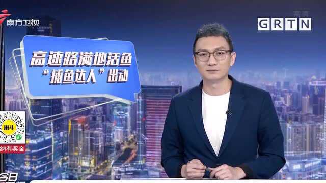 大广高速 拉鱼货车失控侧翻 高速路秒变“鱼塘”