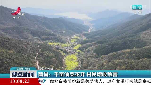 【赣鄱春光好】南昌:千亩油菜花开 村民增收致富