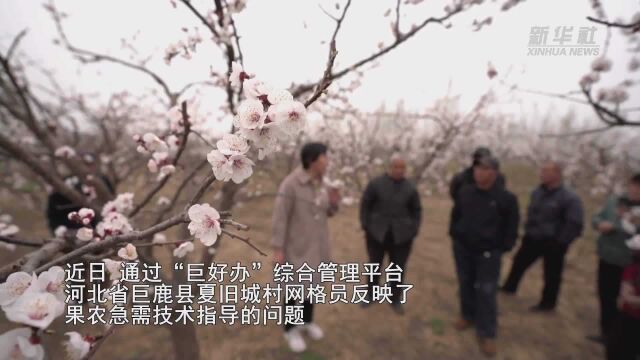 河北巨鹿:“巨好办”平台听民声解民忧