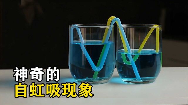 不可思议的“自虹吸”,水竟然往高处流,你知道原理吗?