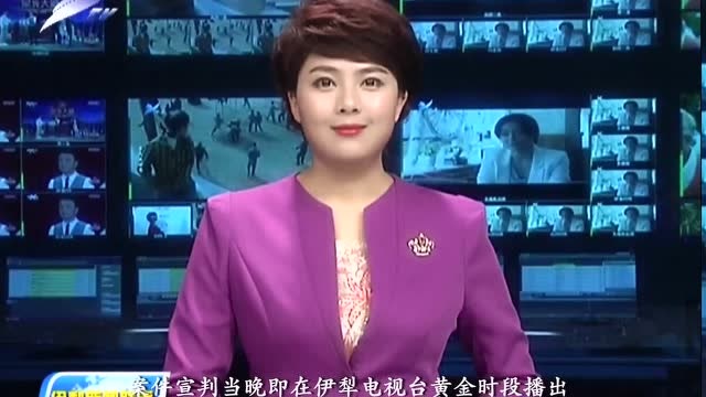 新疆政法百人(52)| 张鹏雁