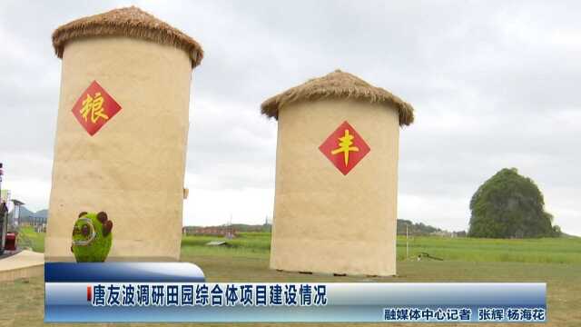 唐友波调研田园综合体项目建设情况