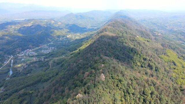 雅安名山区红军百丈关战役遗址,啄子山现当年的战壕、工事、弹坑