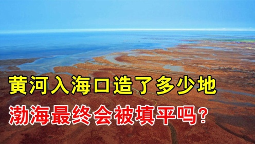 [图]黄河入海口几十年变迁，靠泥沙造出了多少地？渤海会被填平吗？