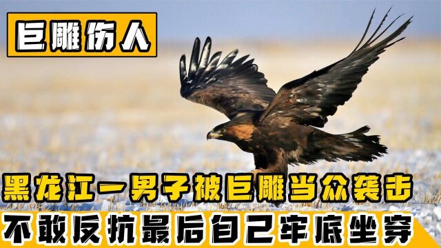 黑龙江男子被巨雕多次袭击,差点丢了性命,最后竟是男子牢底坐穿