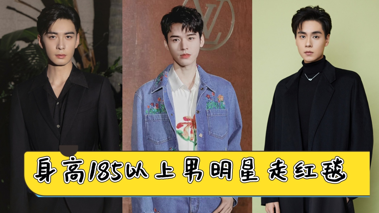 185以上男明星走红毯,陈星旭雅痞胡一天绅士,龚俊又酷又拽!