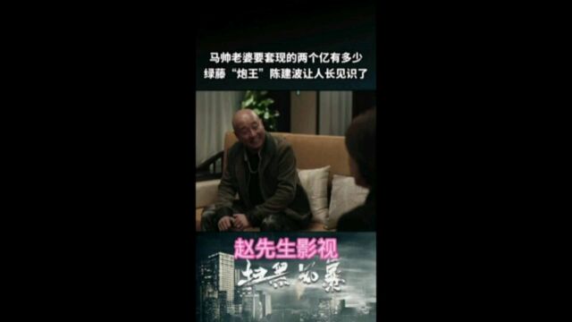 扫黑除恶打黑风暴