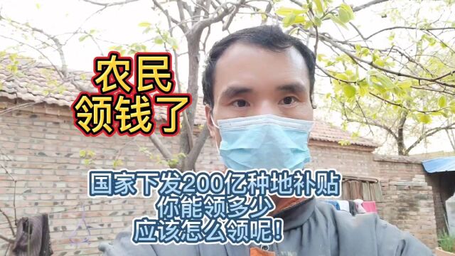 农民领钱了!国家下发200亿农业补贴!你能领多少,应该怎么去领!