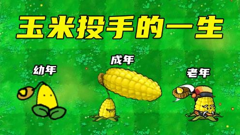植物大战僵尸：玉米投手与大嘴花的一生