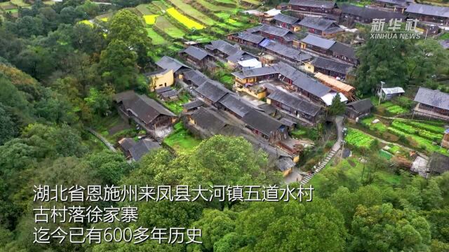 湖北来凤:“打卡”大山深处“网红”古村落