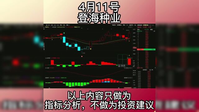 4.11登海种业连续调整多日,今日走出反弹