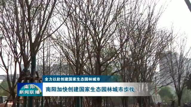 【全力以赴创建国家生态园林城市】南阳加快创建国家生态园林城市步伐