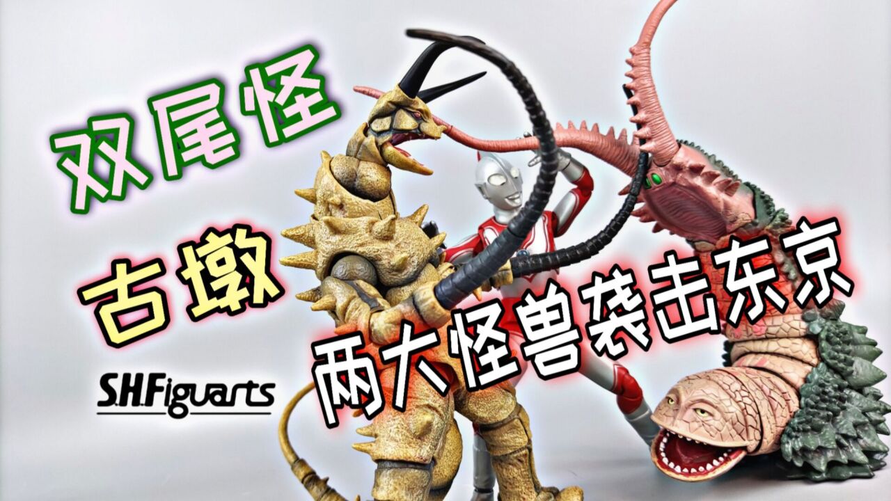 怪兽也有双马尾质量颇高的死敌万代shf双尾怪古墩古敦两大怪兽袭击