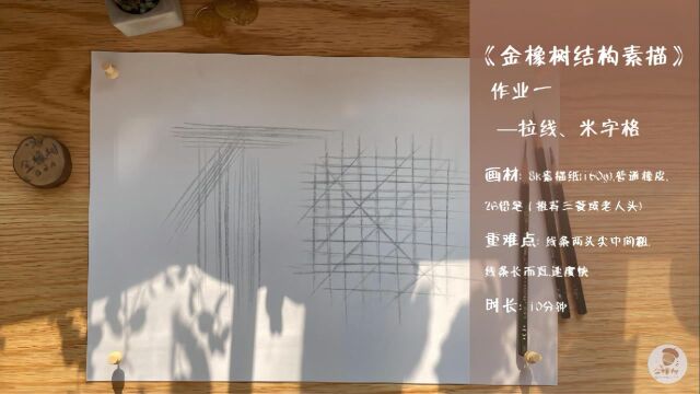 1.金橡树绘画结构素描作业一拉长线、米字格