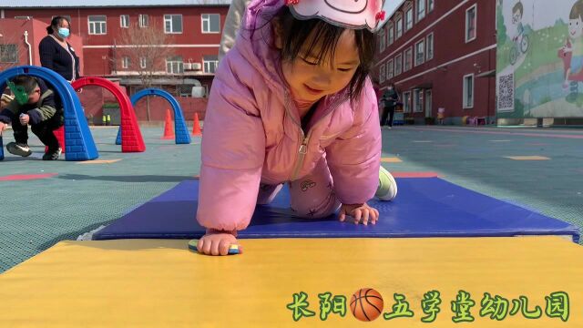 长阳五学堂幼儿园体育听评课