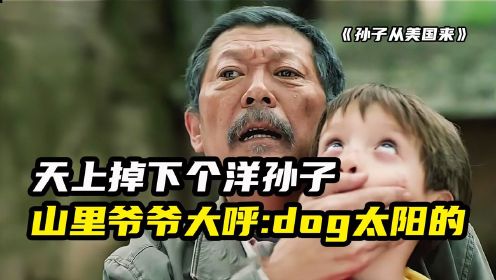 [图]天上掉下个洋孙子，山里爷爷直呼DOG . 太阳的！